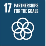 partnerships for the goals